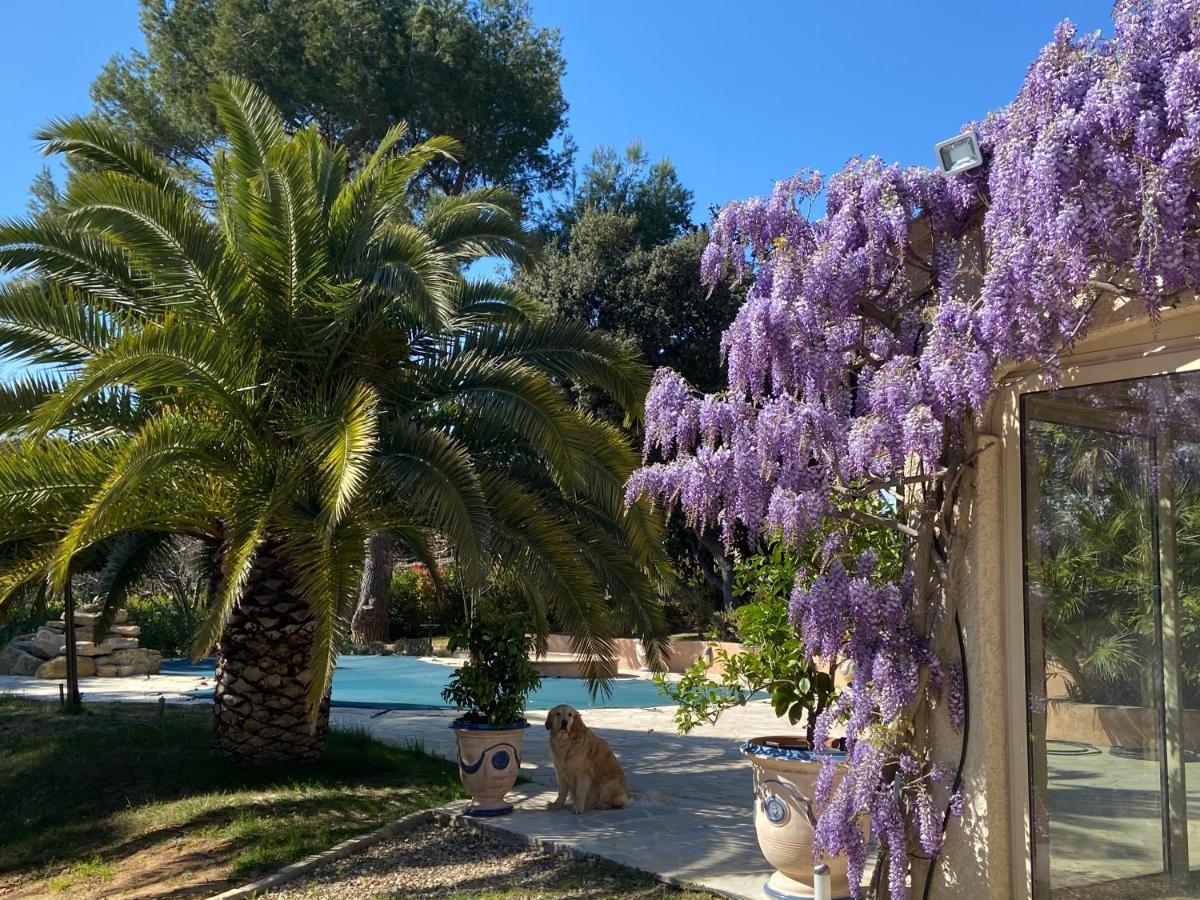 Bed and Breakfast Santolines En Provence à Piolenc Extérieur photo